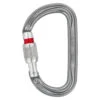 Petzl Am'D Screw-Lock Carabiner Gray -Cool Outdoor 202468760c07d38efbdb7.82323135